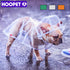 HOOPET Pet Raincoat Dog Raincoat Pet Clothes Transparent Raincoat Light Clothes Waterproof Small Dog Raincoat  with hood